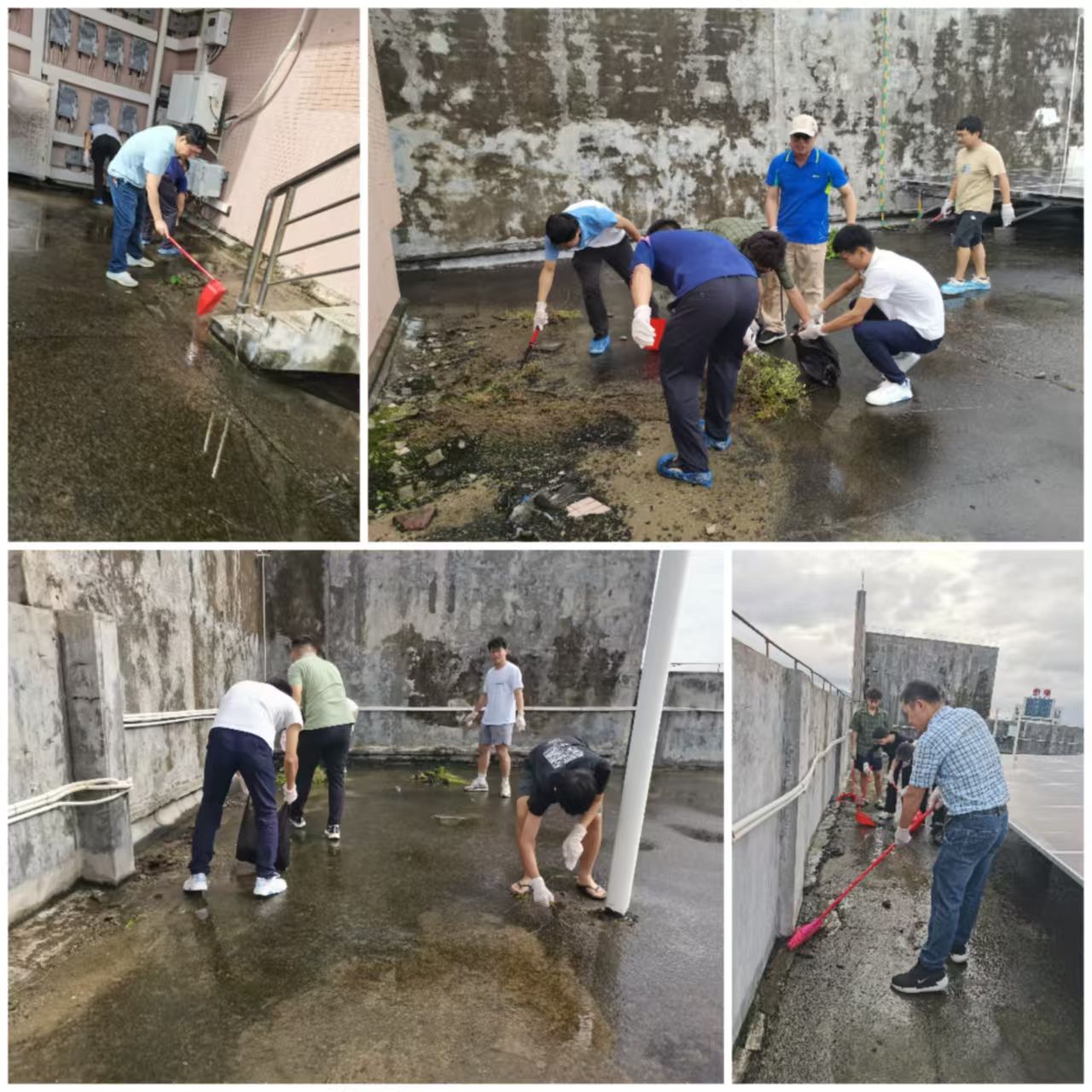 6E5D8DD0ADE72A28C332A2FF960_9361D9E7_3D609