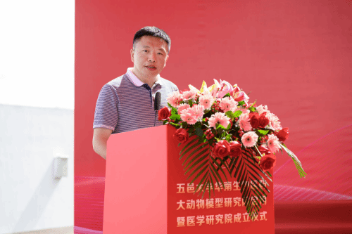 CFEE18144DB44786422D782177C_D94D0D72_D49B