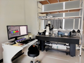 5B6B4D668F03FC8AE0B65112728_282F9653_3D33D