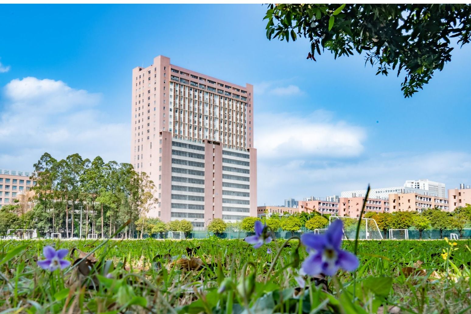 74F2D77079C61460DEF1050371D_4C334882_423DF