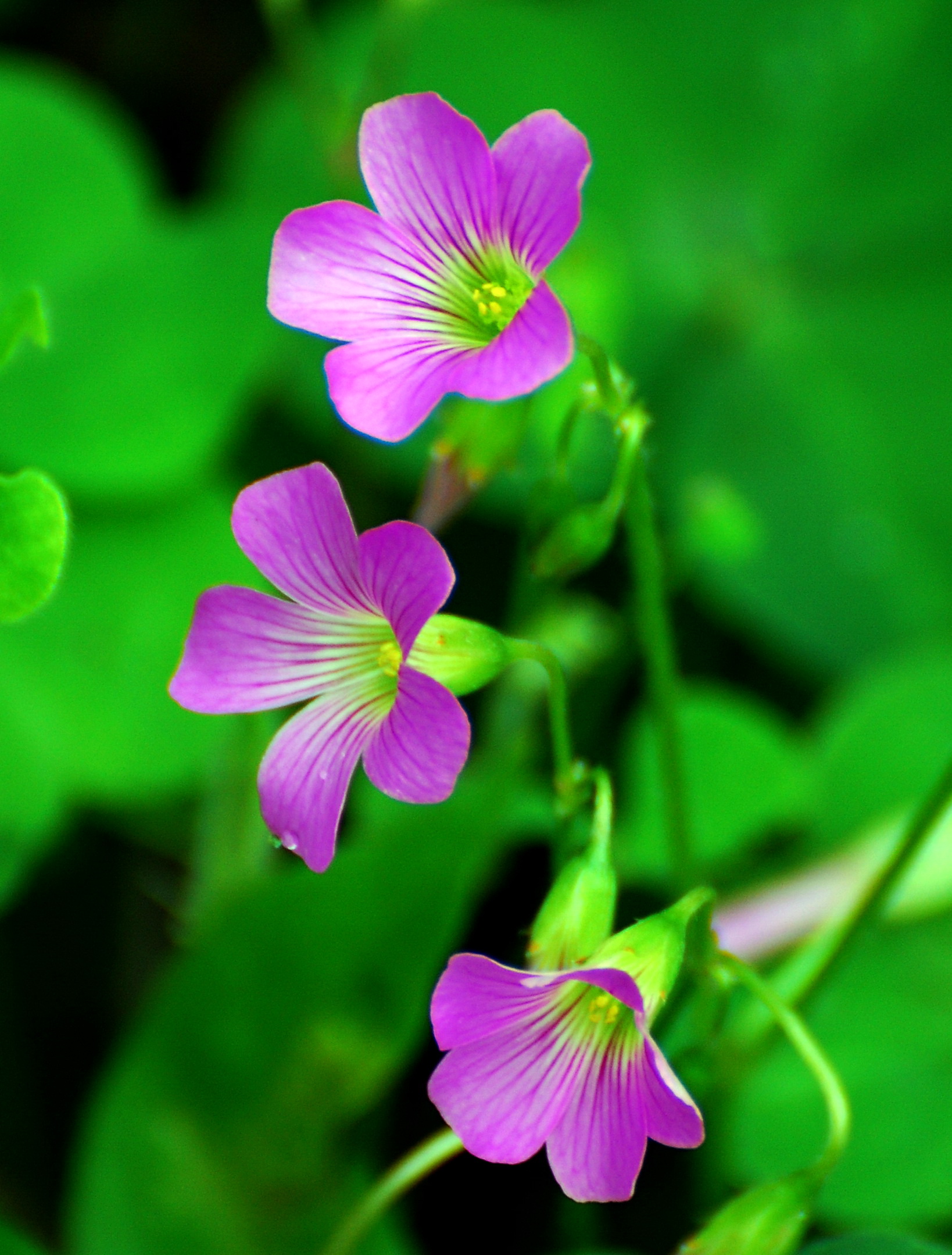 BFC3EE081800BDEFFB17A7471F0_381D1C88_D4244.jpg?e=