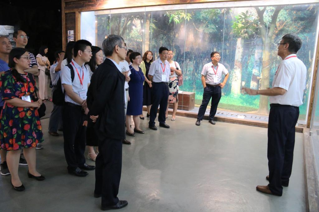 9576F72022AD52E63C3AA3CC97E_F0213764_1650D