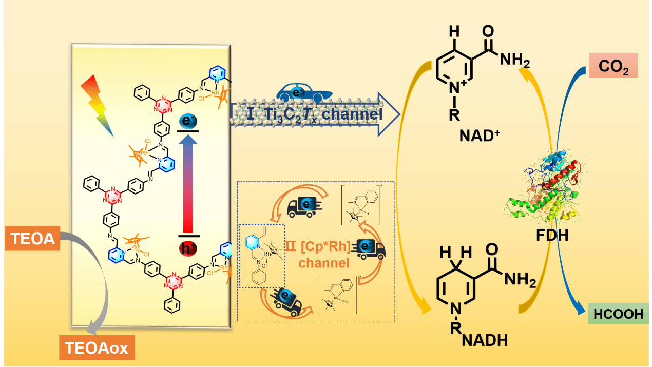 0F7B8ADBE98AB3C6BEFCCEA0167_D99ADA52_1579E