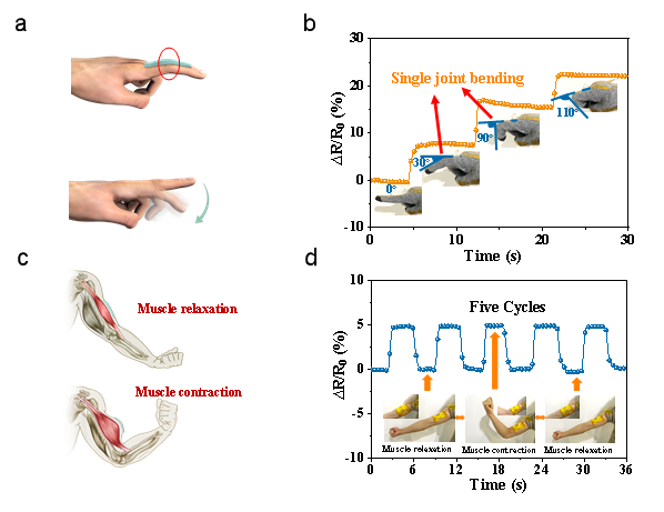 Ҽ������app����(�й�)�ٷ�������