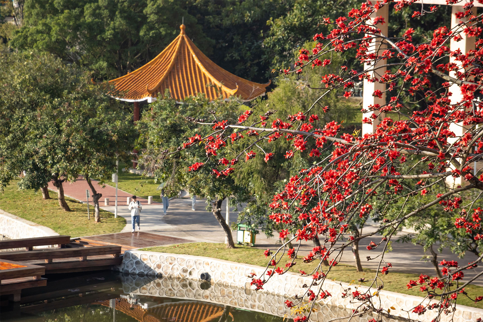 Ҽ������app����(�й�)�ٷ�������