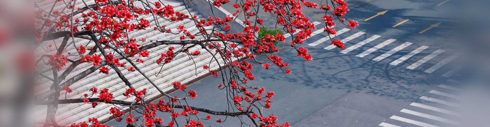 Ҽ������app����(�й�)�ٷ�������